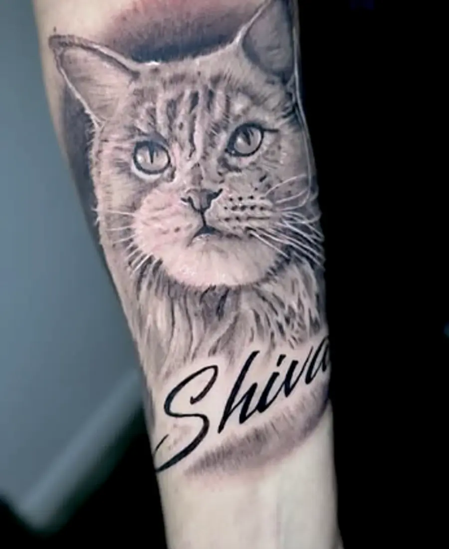 Realistisches Katzenportrait Tattoo